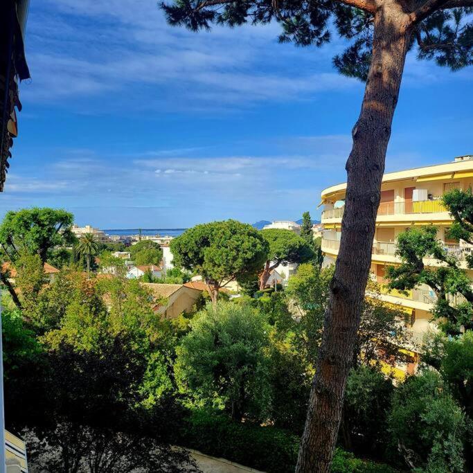 Grand Studio Localisation Ideale Antibes Ngoại thất bức ảnh
