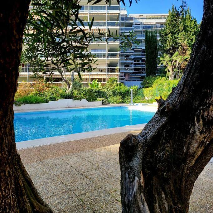 Grand Studio Localisation Ideale Antibes Ngoại thất bức ảnh